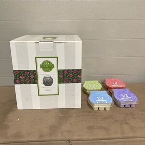 Scentsy Stargaze warmer and wax melts